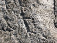 iscrizioni rupestri alla Pera di Cros