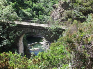 Ponte Negrone